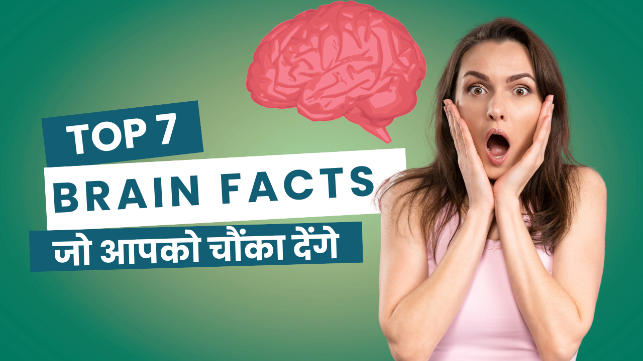 Top 7 Brain Facts